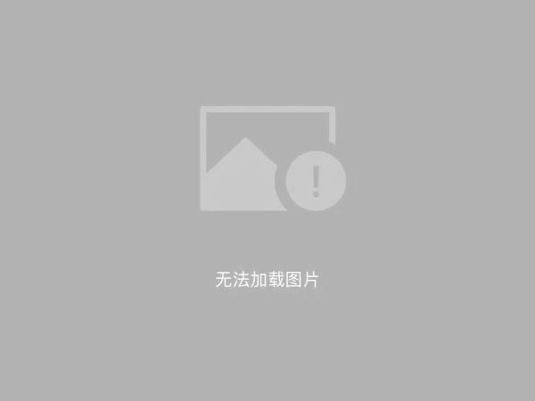 汽车租赁迅猛发展投入到网络化